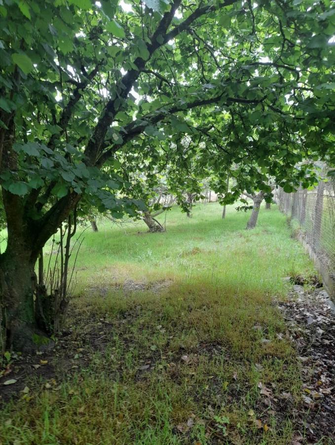A Casa Dos Avos Villa Celanova Eksteriør billede
